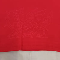 Wales Rugby Baby/Toddler Home T-Shirt & Shorts Set | Red | 2024/25